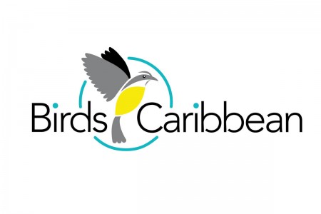 Birds Caribbean