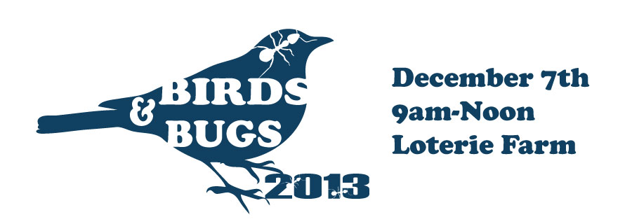 Birds-Bugs-2013-Logo-asslfdm