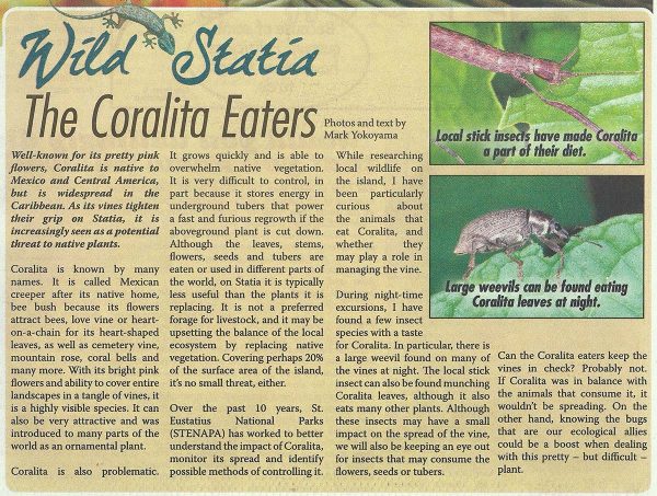 WildStatia-Coralita-Eaters-web