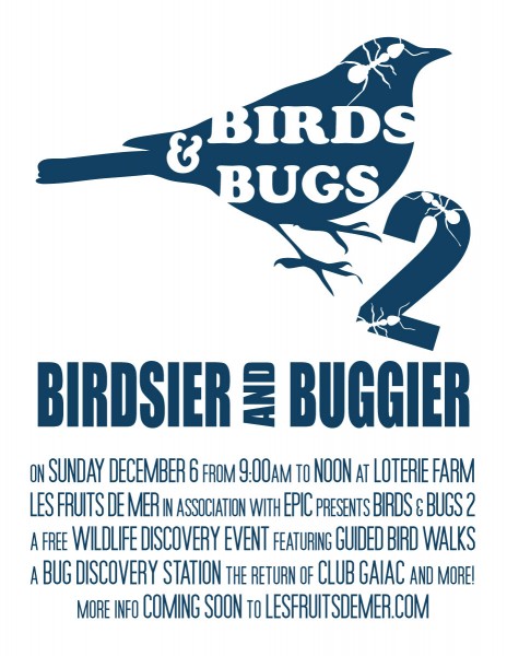Birds&Bugs-Poster-EN