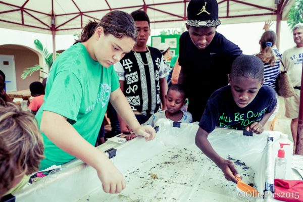Visitors can discover aquatic insects and other creatures at the Portable Pond Discovery Station. (Photo by Olivia Roudon)