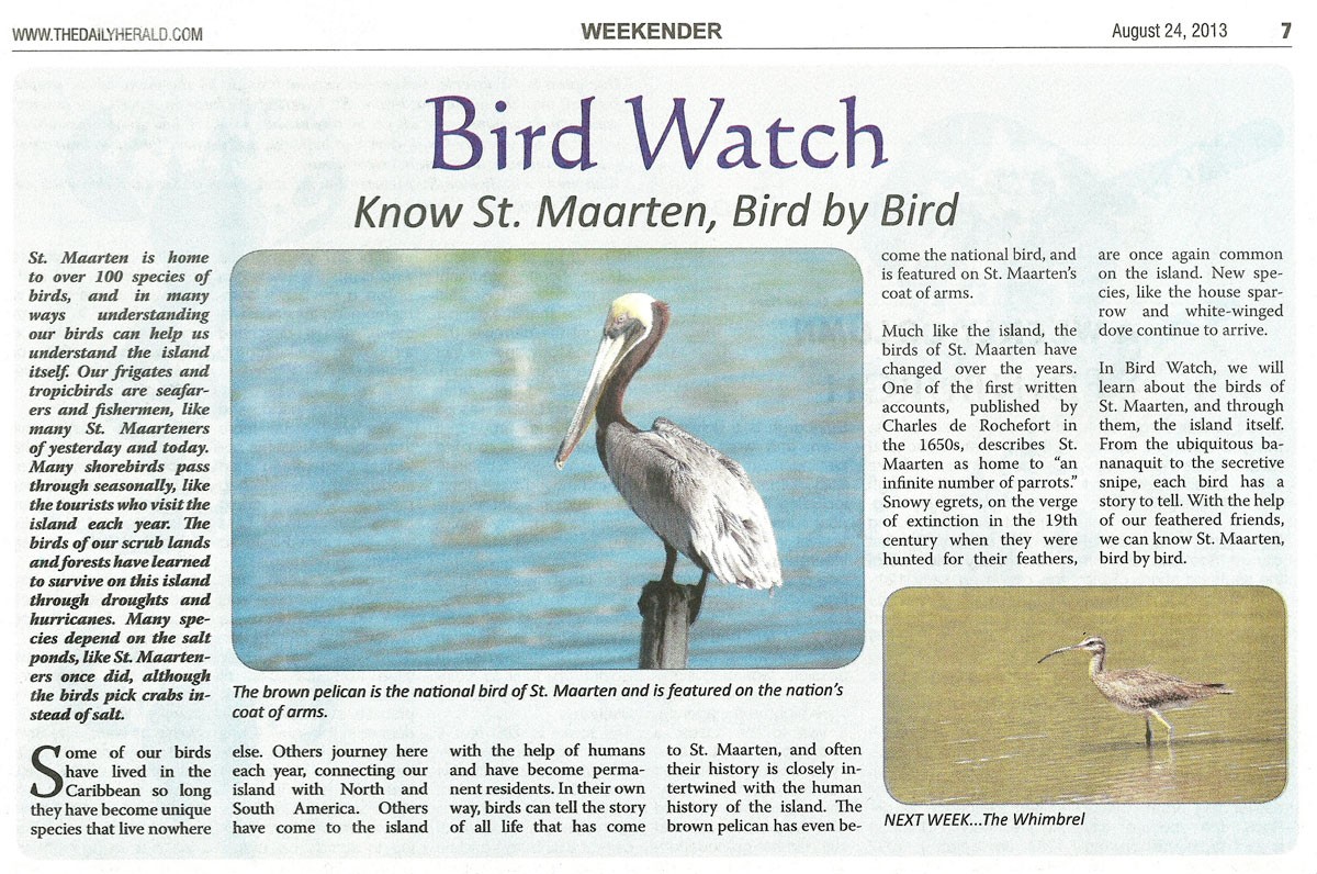 bird-watch-08242013-web