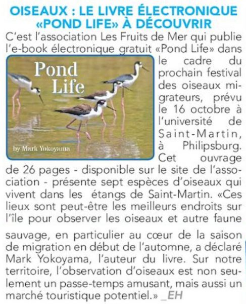 mbf2016-faxinfo-pondlife