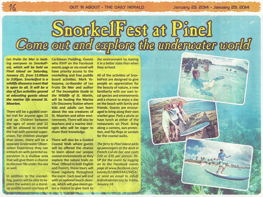 SnorkelFest-OutnAbout-Herald-01232014-web
