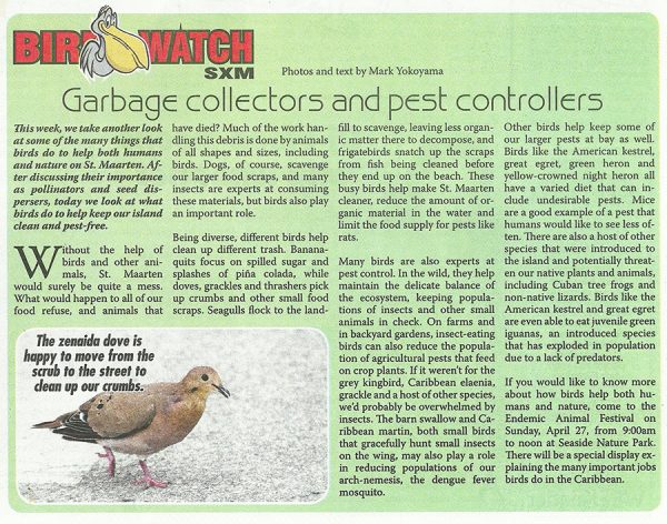 Bird-watch-garbage-pests-04252014-web