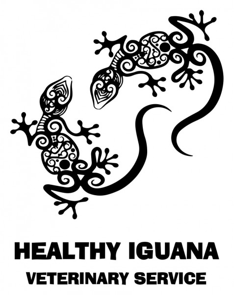 healthy-iguana-web