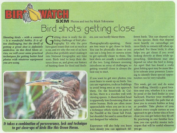 BirdShots-Getting-Close-web