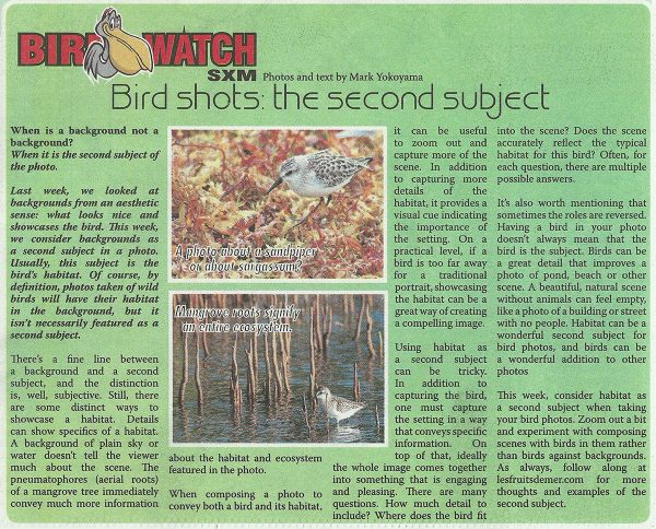 BirdWatch-BirdShots-2ndSubject-web