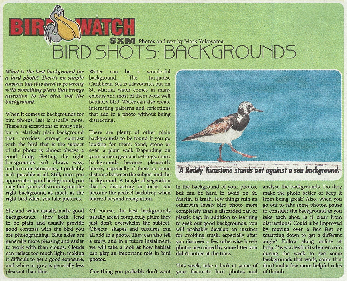 BirdWatch-birdShots-backgrounds-web