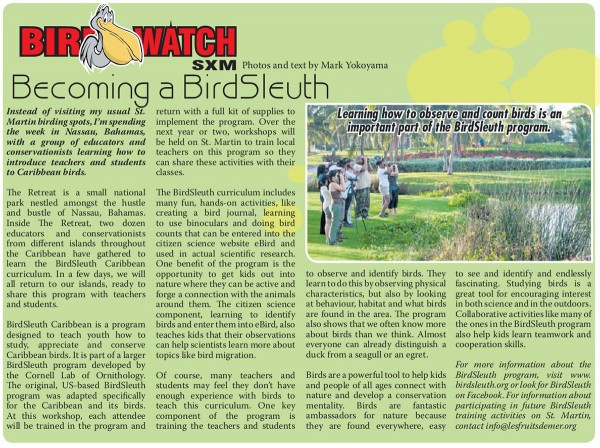 BirdWatch-BirdSleuth-web