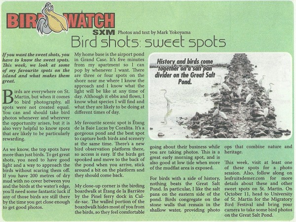 bird-shots-sweet-spots-10042014-web