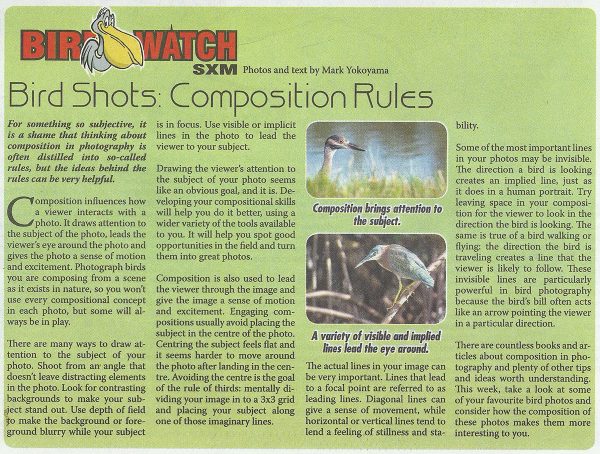 Bird-shots-composition-rules-web