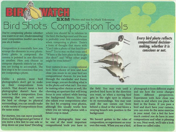 BirdShots-Composition-Tools-web