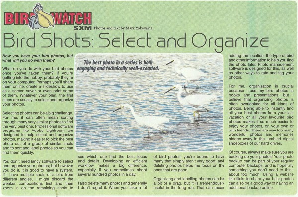 BirdShots-Select-Organize-web