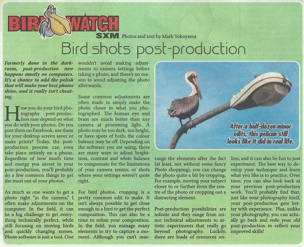 BirdWatch-BirdShots-Post-Processing-web
