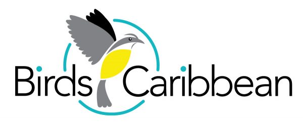 BirdsCaribbean is the Caribbean region’s largest conservation organization.