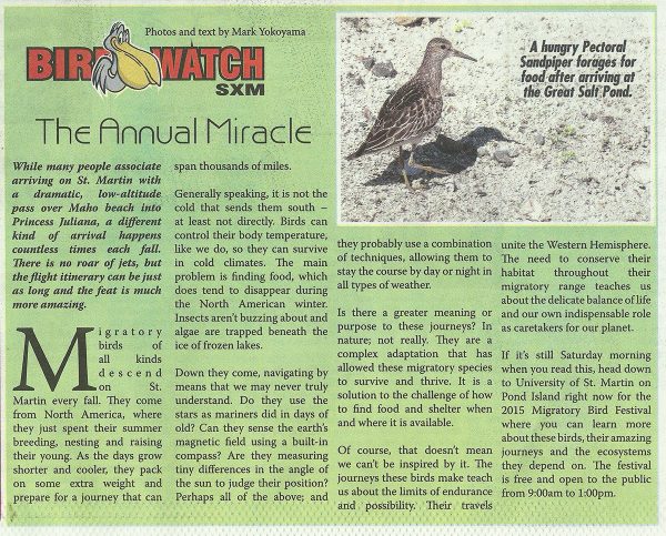 Bird-Watch-Annual-Miracle-web
