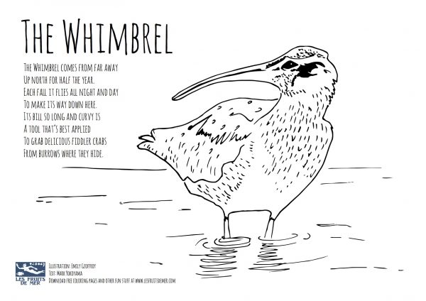wetland-coloring-pages