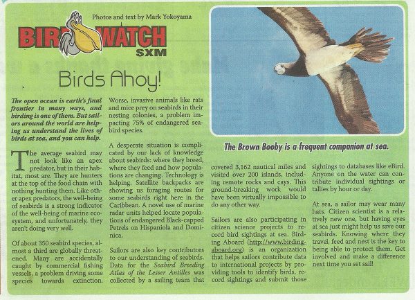 BirdWatch-BirdsAhoy-web