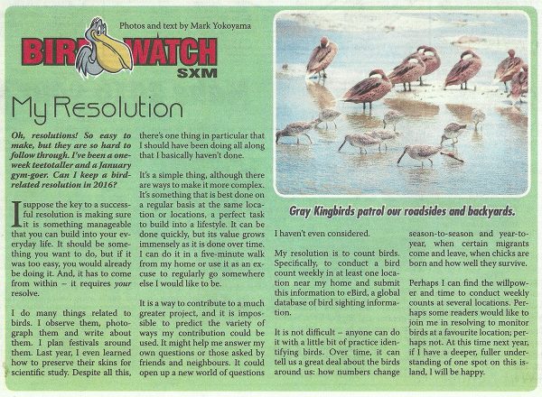 BirdWatch-My-Resolution-web