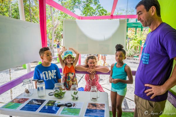 The Endemic Animal Discovery Station featured ten species unique to our region. (Photo by Agnès Etchegoyen)