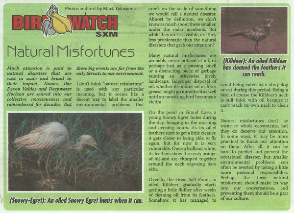 Bird-Watch-Natural-Misfortunes-web