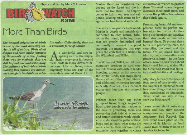 bird-watch-more-than-birds