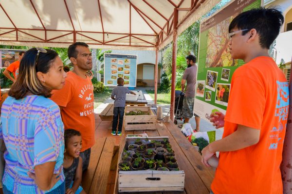 Guests learn about the Gaïac tree and receive seedlings to plant at home. (Photo by Jovito Hermoso)